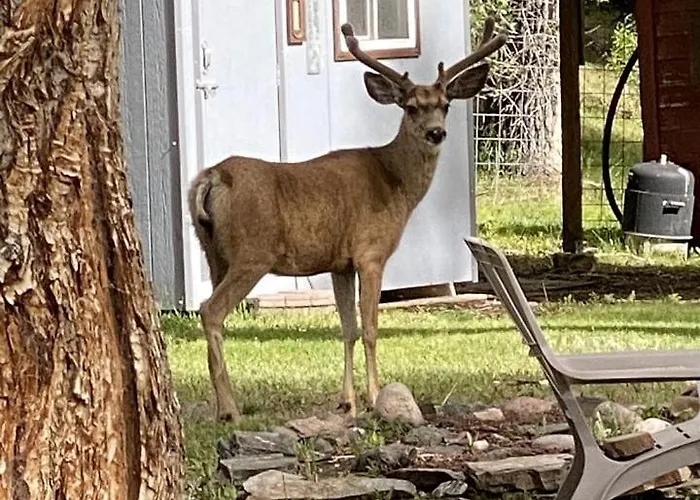 Tiny Perfect An Individual Escape With Bbq In Riverside, Wyoming Holiday home